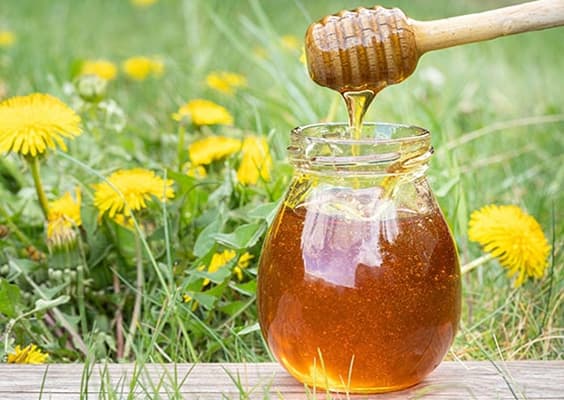Mustard Flower Honey