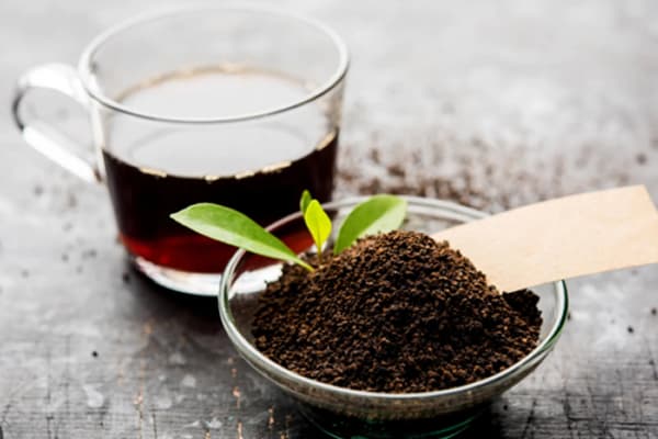 Tea